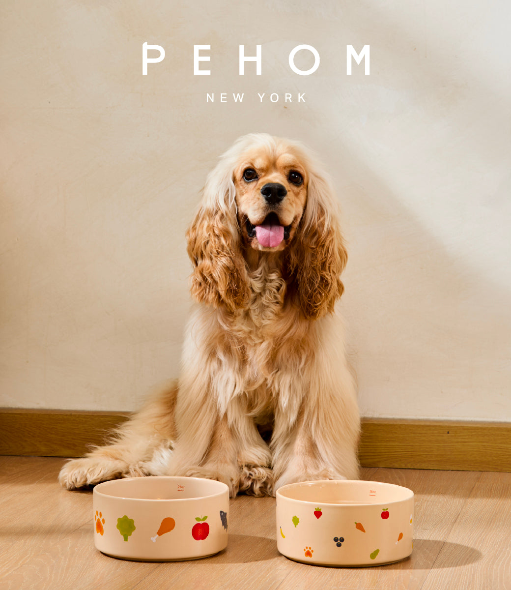 Nomnom Ceramic Pet Bowl for Dogs and Cats