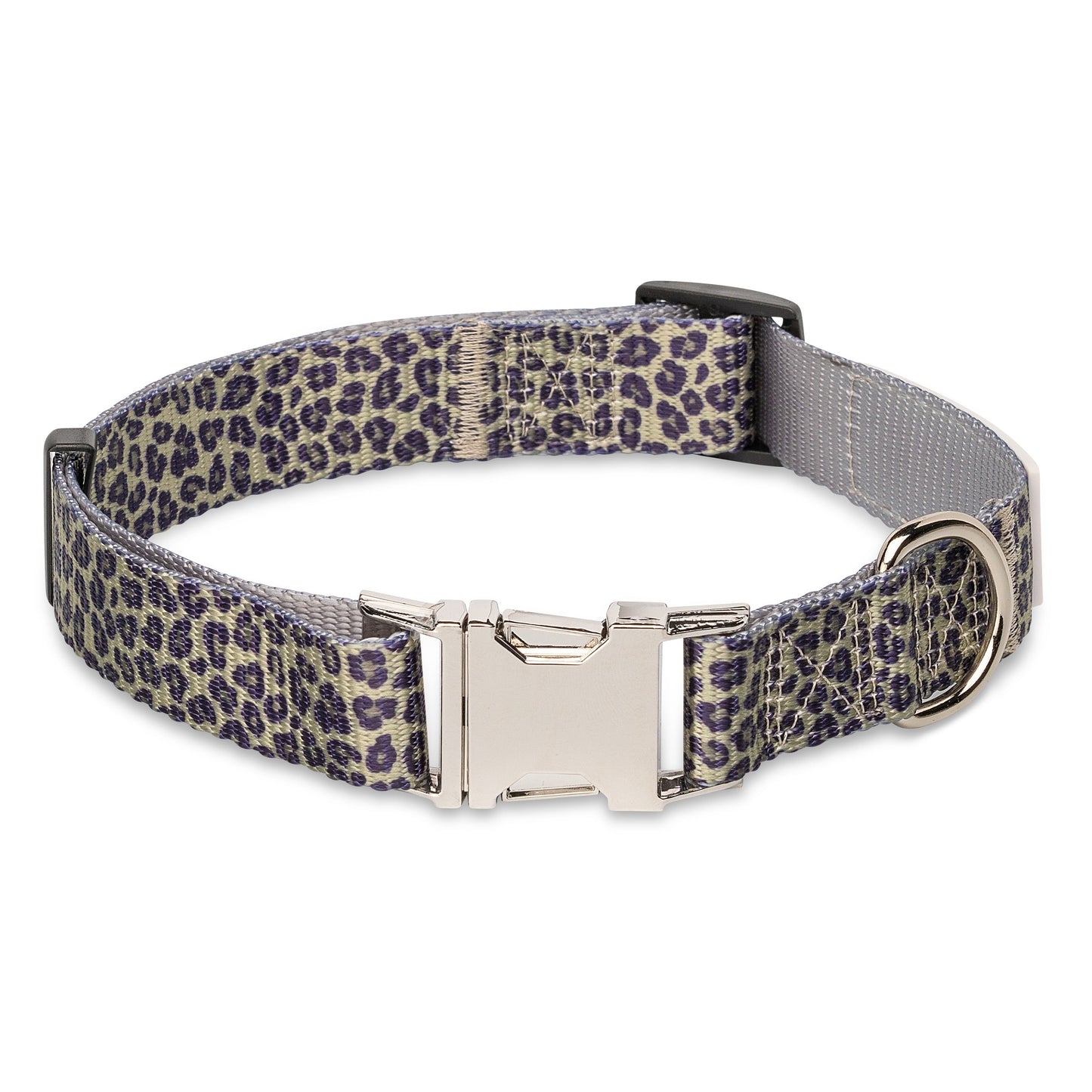 The Modern Dog Company Walk on the Wild Side Dog Collar