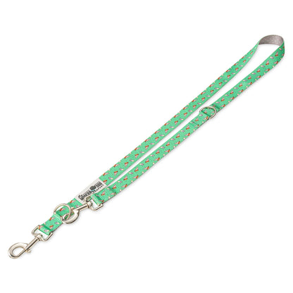 The Modern Dog Company Pizza Party Dog Leash
