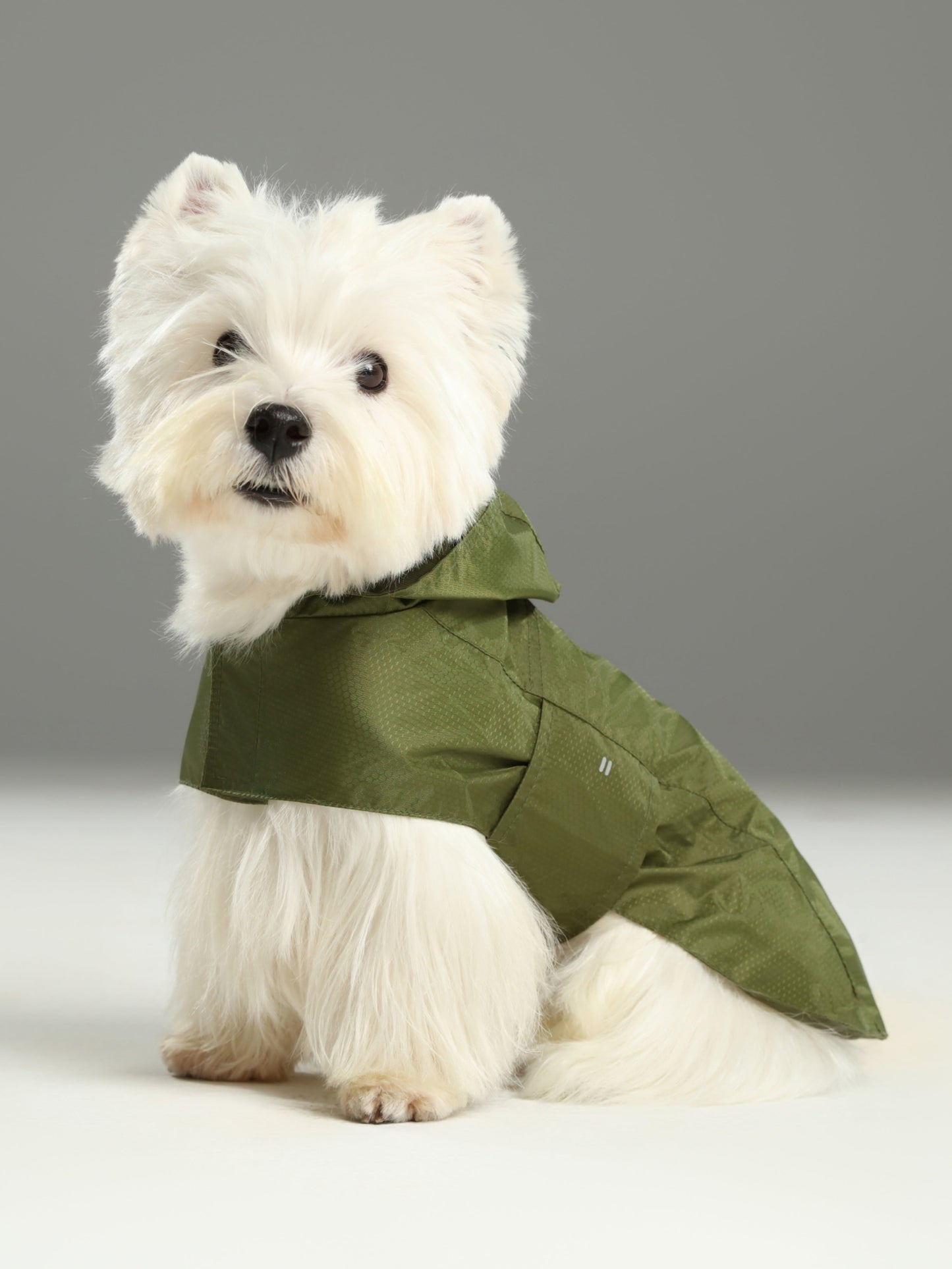 Capsule Raincoat for Dogs and Cats, Green