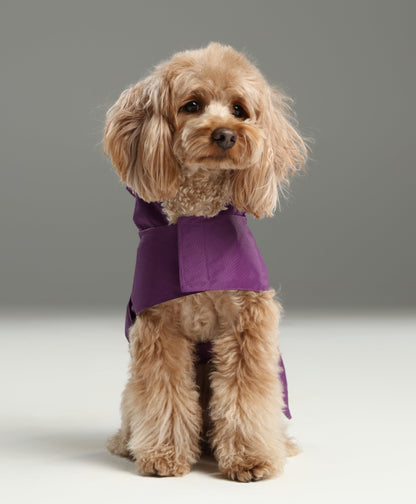 Capsule Raincoat for Dogs and Cats, Purple