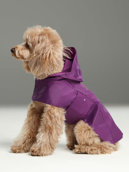 Capsule Raincoat for Dogs and Cats, Purple