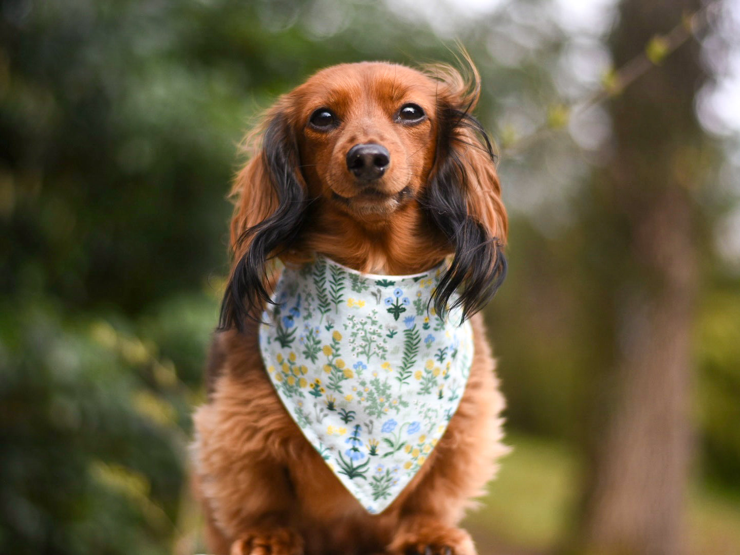 4th of July Dog Bandana - Patriotic Snap-On Bandana for Dogs