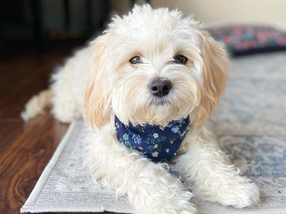 4th of July Dog Bandana - Patriotic Snap-On Bandana for Dogs