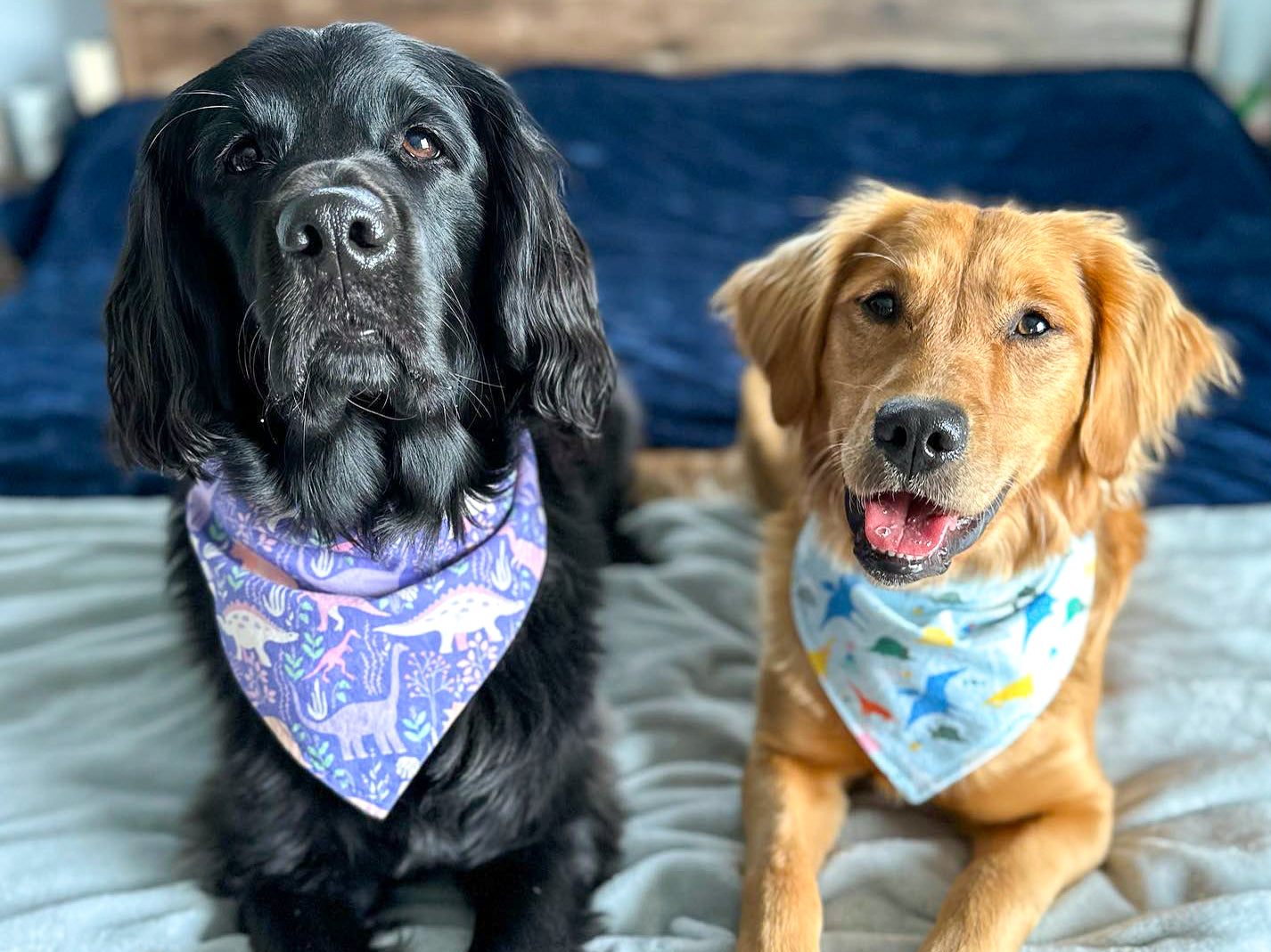 4th of July Dog Bandana - Patriotic Snap-On Bandana for Dogs