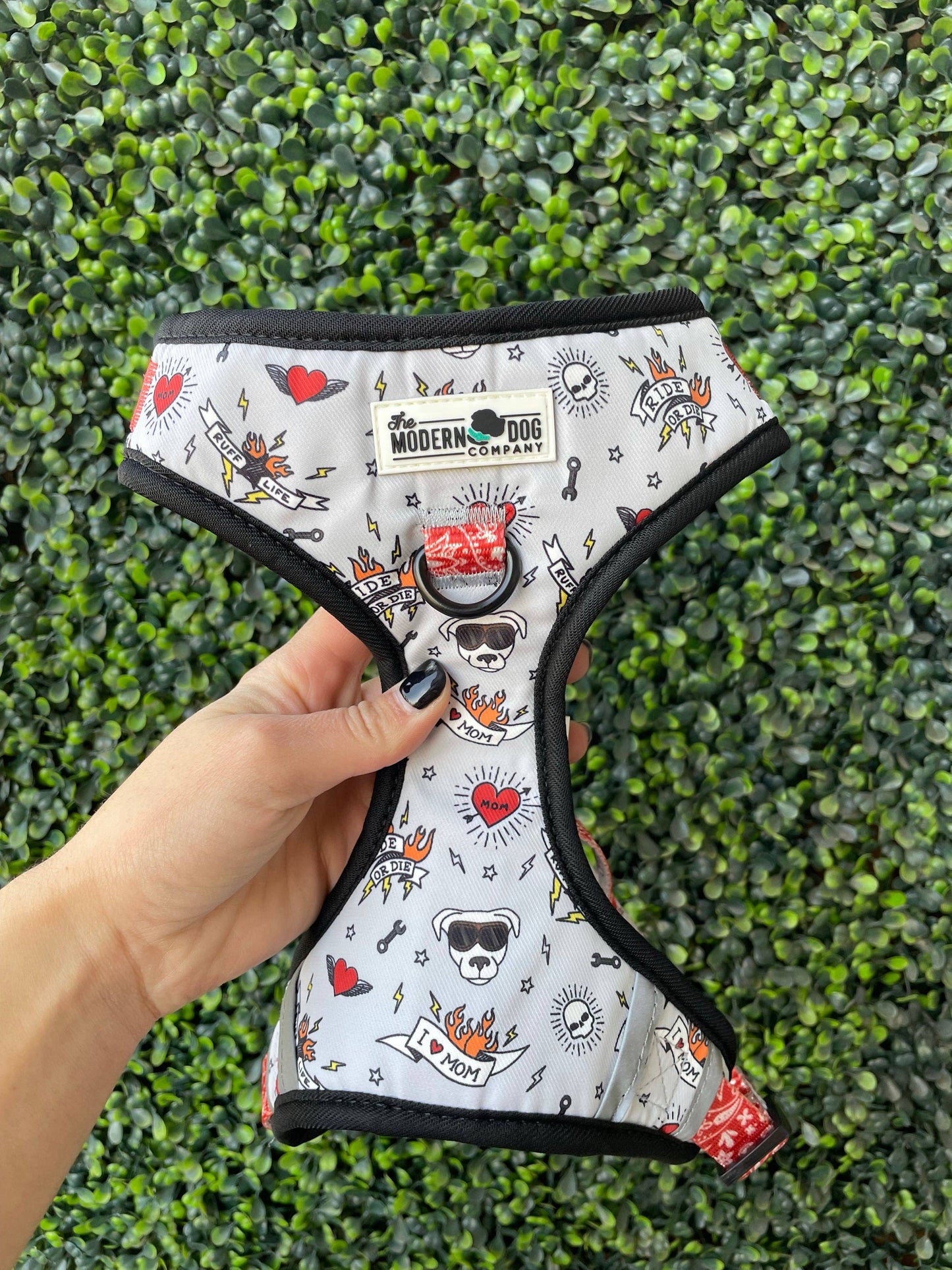 The Modern Dog Company Bad to the Bone Dog Harness
