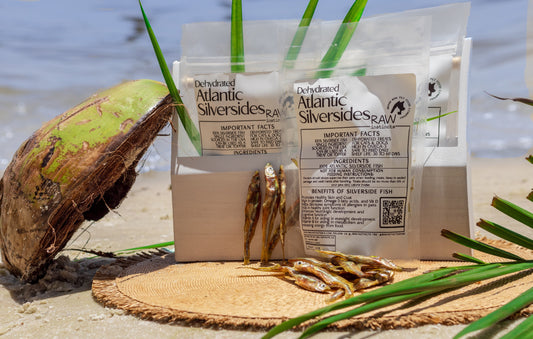 Raw Instincts Dehydrated Atlantic Silverside Fish Treats for Cats and Dogs