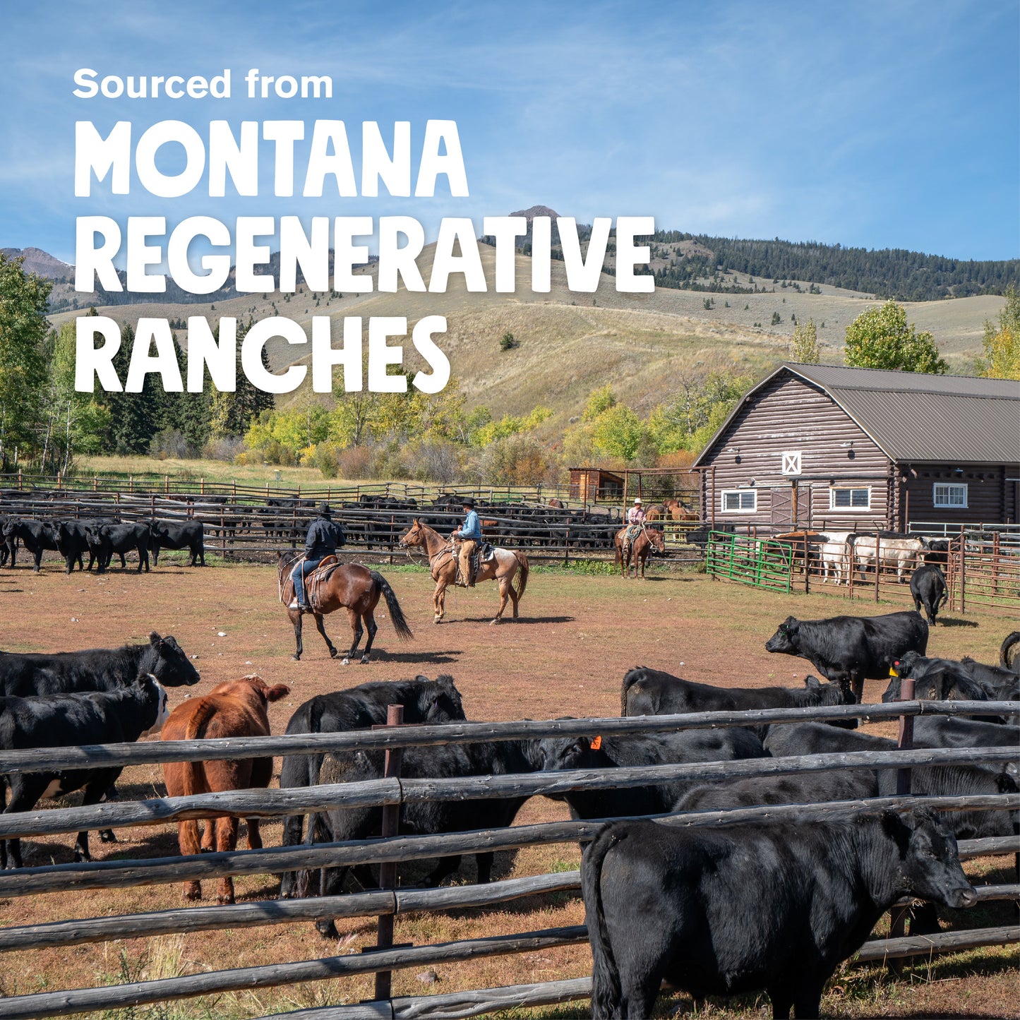 West Paw Air-Dried Beef Sticks Dog Treats from Regenerative Ranches
