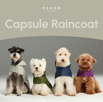 Capsule Raincoat for Dogs and Cats, Purple