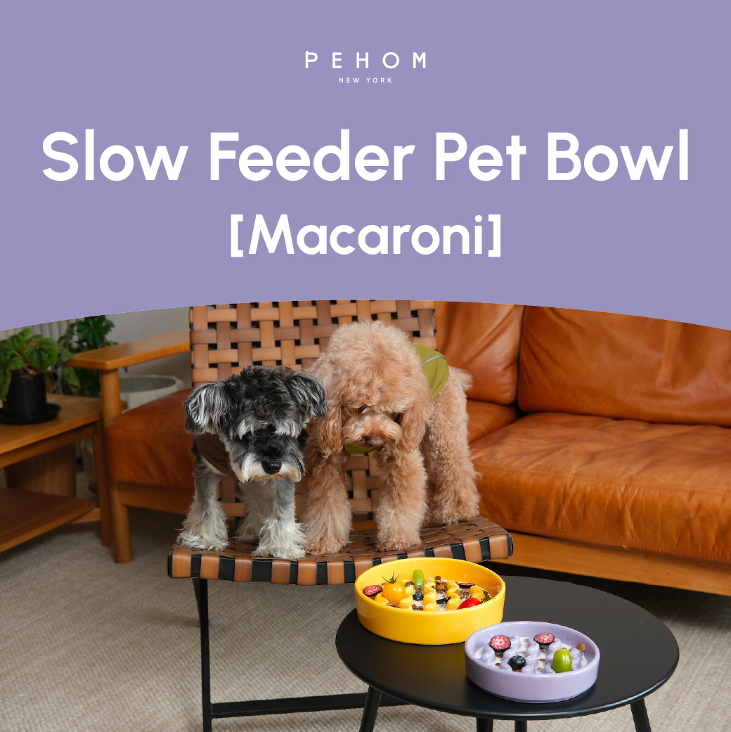 Macaroni Slow Feeder Dog Bowl