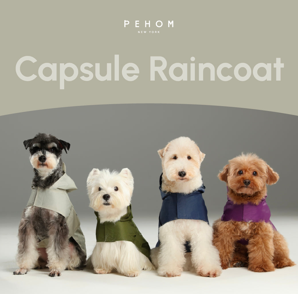 Capsule Raincoat for Dogs and Cats, Green