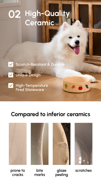 Nomnom Ceramic Pet Bowl for Dogs and Cats