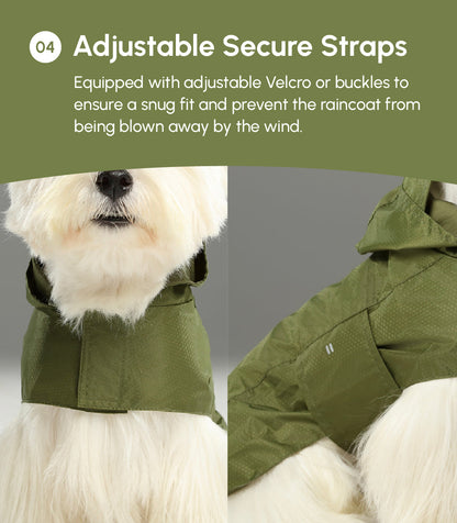 Capsule Raincoat for Dogs and Cats, Purple