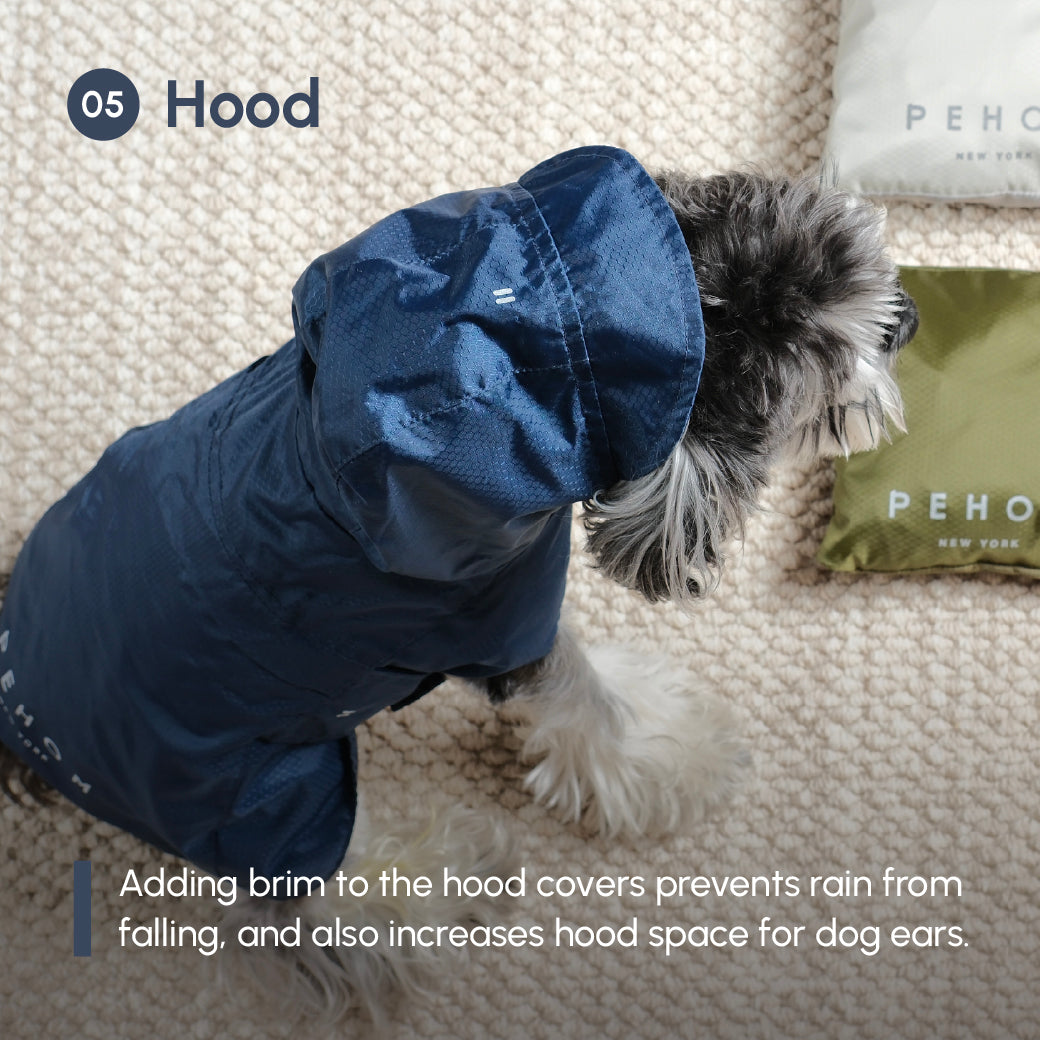 Capsule Raincoat for Dogs and Cats, Green