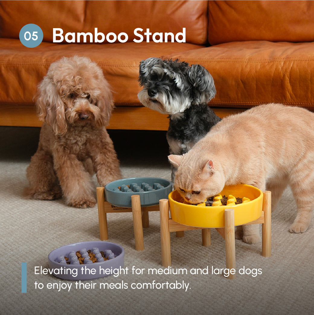 Macaroni Slow Feeder Dog Bowl