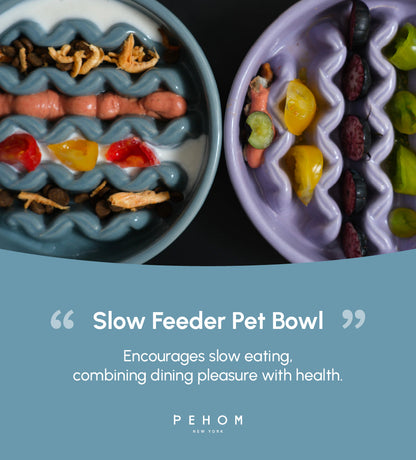 Macaroni Slow Feeder Dog Bowl