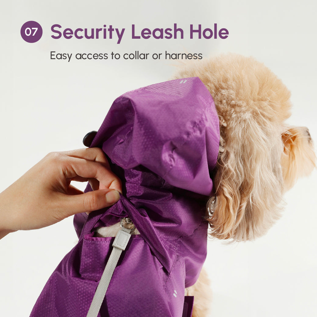Capsule Raincoat for Dogs and Cats, Beige