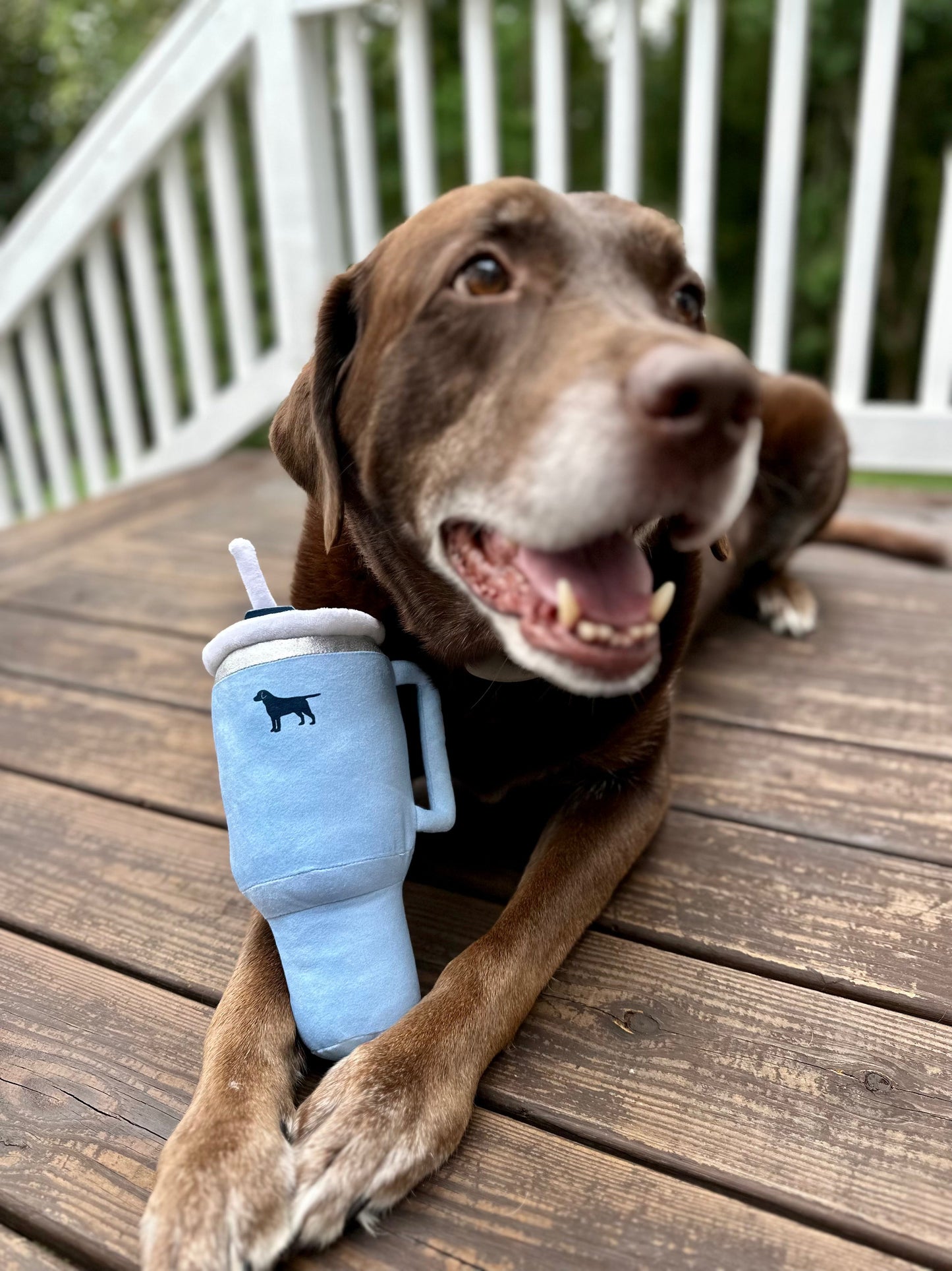 PUPROAR Pup Cup Squeaky Plush Tumbler Dog Toy
