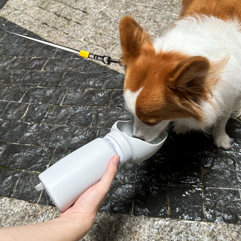Milou and Lumi Portable Collapsible Pet Water Bottle