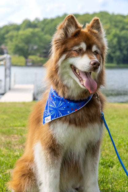 Patriotic Dog Bandana Red White Blue Fireworks Pattern