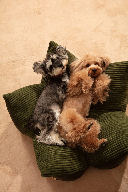 Cuddle Pet Pillow Bed