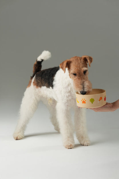 Nomnom Ceramic Pet Bowl for Dogs and Cats
