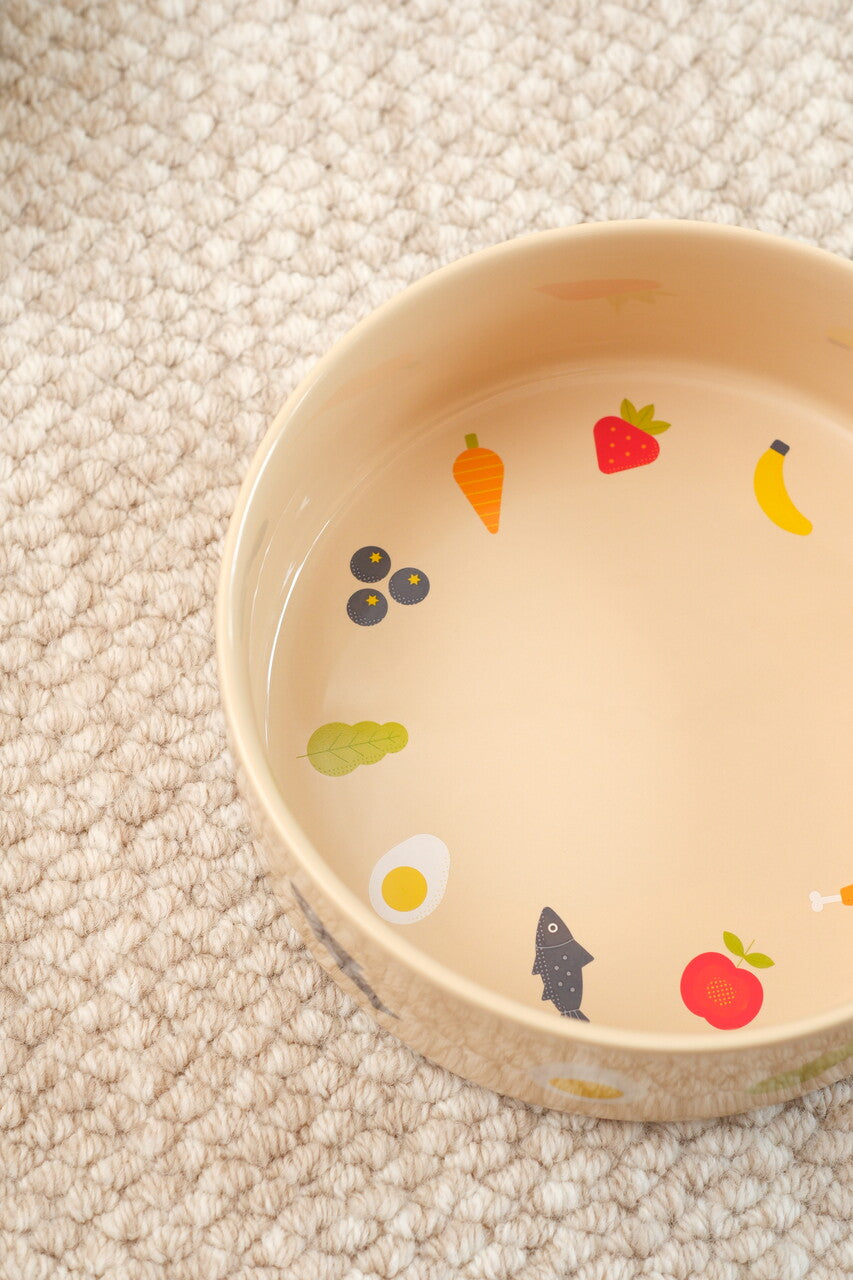 Nomnom Ceramic Pet Bowl for Dogs and Cats