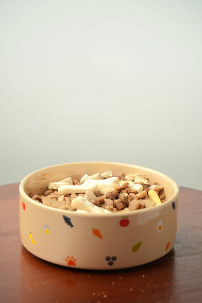 Nomnom Ceramic Pet Bowl for Dogs and Cats