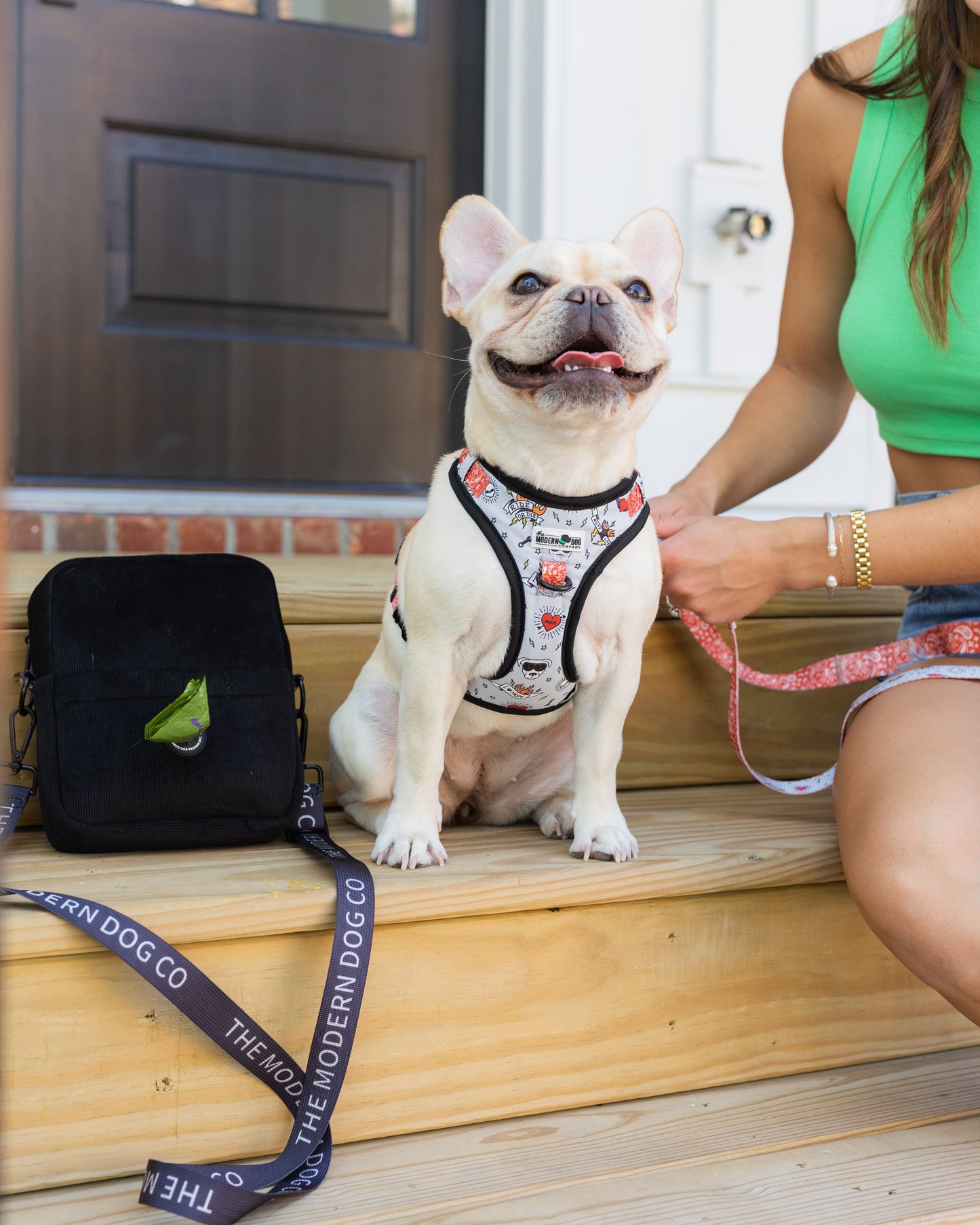 The Modern Dog Company Bad to the Bone Dog Harness