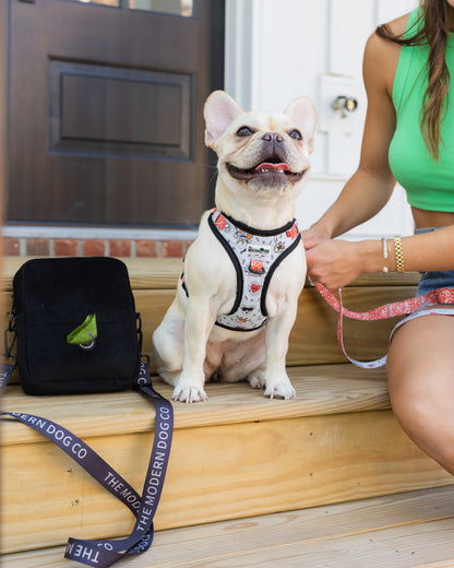 The Modern Dog Company Bad to the Bone Dog Harness