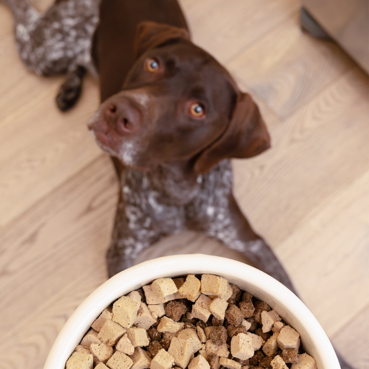 West Paw Rawbiotic Bites Trout and Beef Dog Food Topper