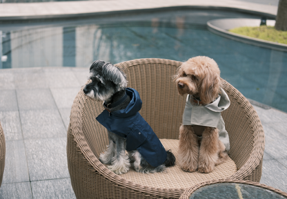 Capsule Raincoat for Dogs and Cats, Green
