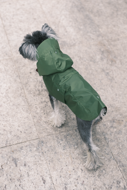 Capsule Raincoat for Dogs and Cats, Green