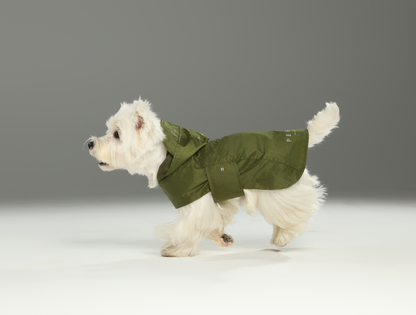 Capsule Raincoat for Dogs and Cats, Green
