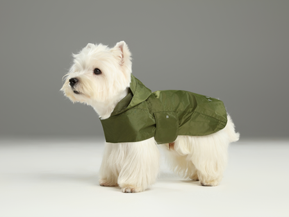 Capsule Raincoat for Dogs and Cats, Green