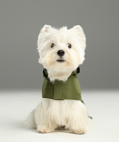 Capsule Raincoat for Dogs and Cats, Green