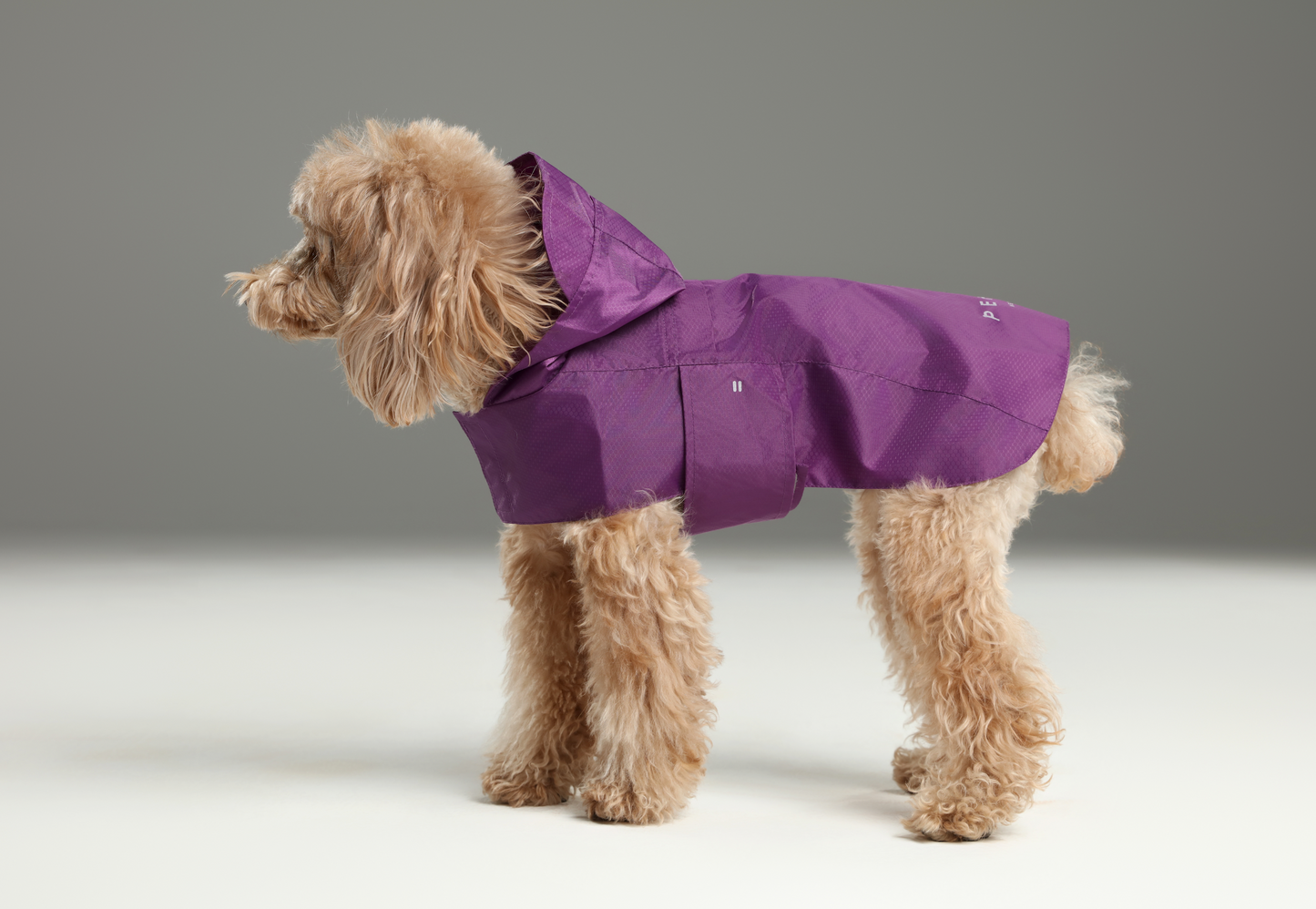 Capsule Raincoat for Dogs and Cats, Purple
