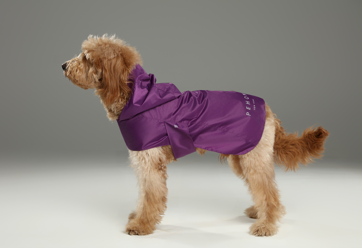 Capsule Raincoat for Dogs and Cats, Purple