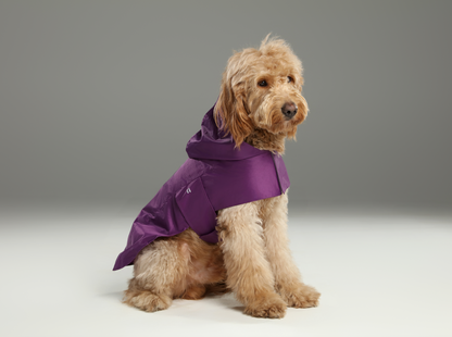 Capsule Raincoat for Dogs and Cats, Purple