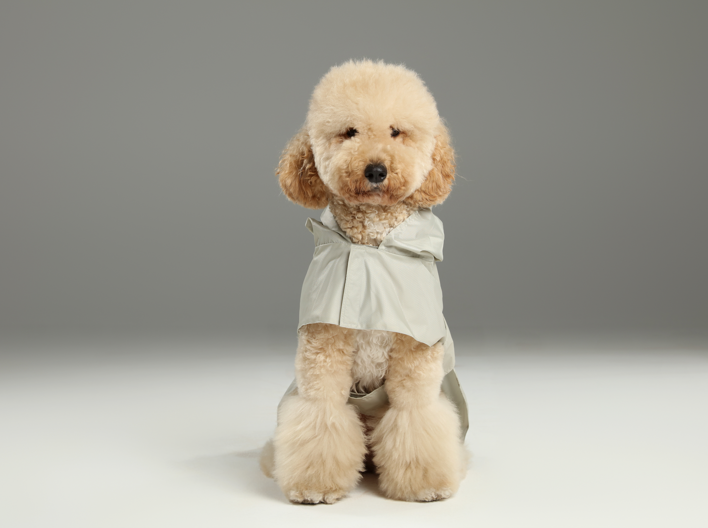 Capsule Raincoat for Dogs and Cats, Beige