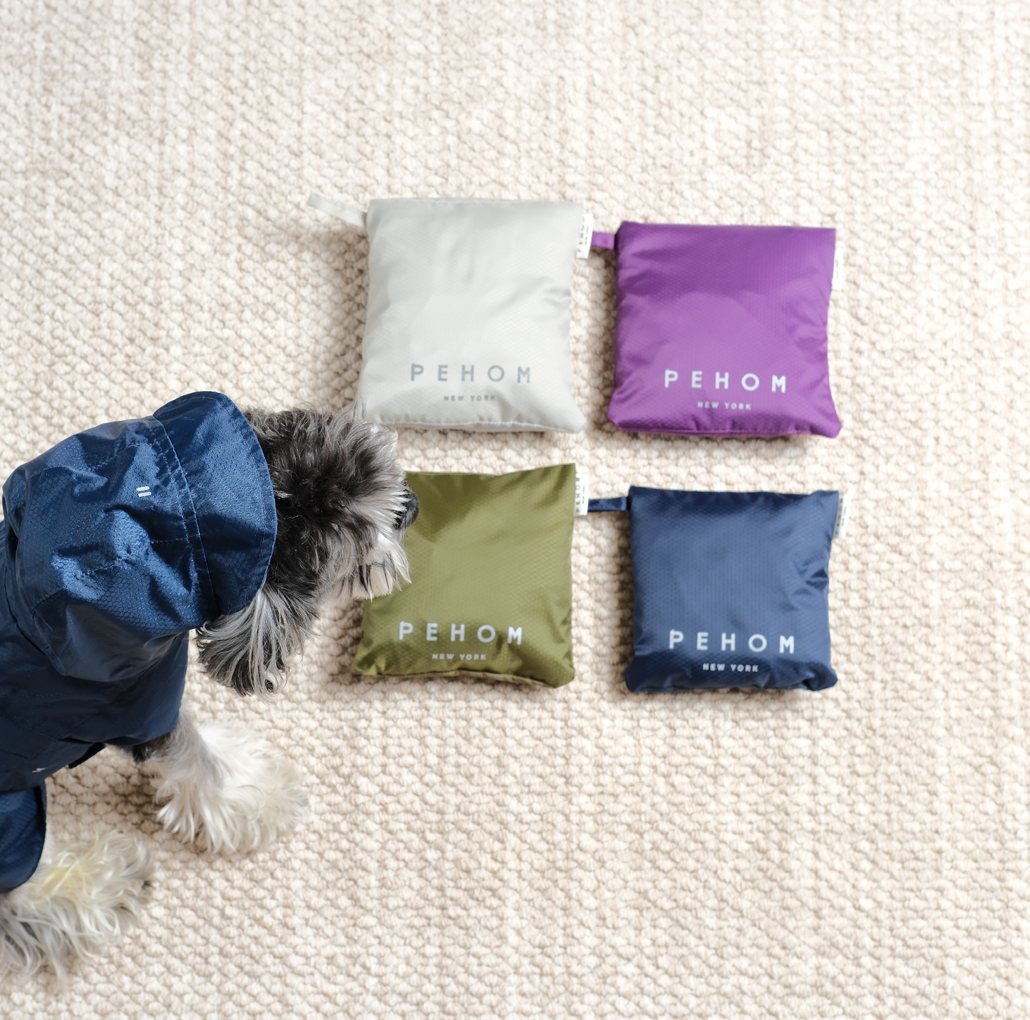 Capsule Raincoat for Dogs and Cats, Purple