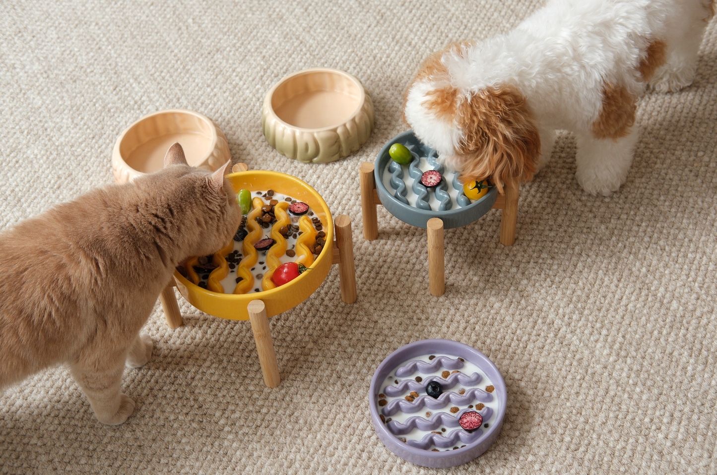 Macaroni Slow Feeder Dog Bowl