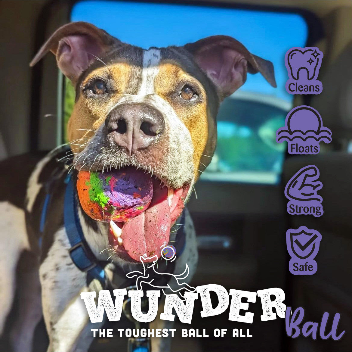 WUNDERball Natural Rubber Fetch Ball for Dogs