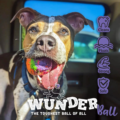 WUNDERball Natural Rubber Fetch Ball for Dogs