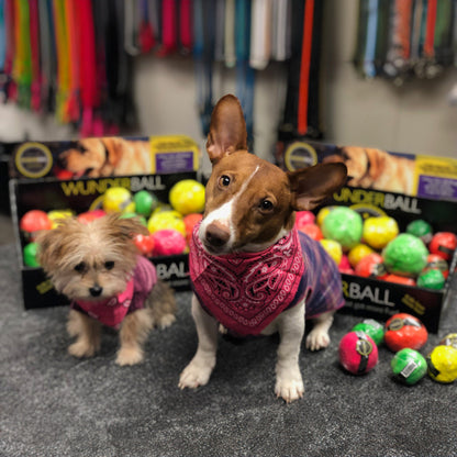 WUNDERball Natural Rubber Fetch Ball for Dogs