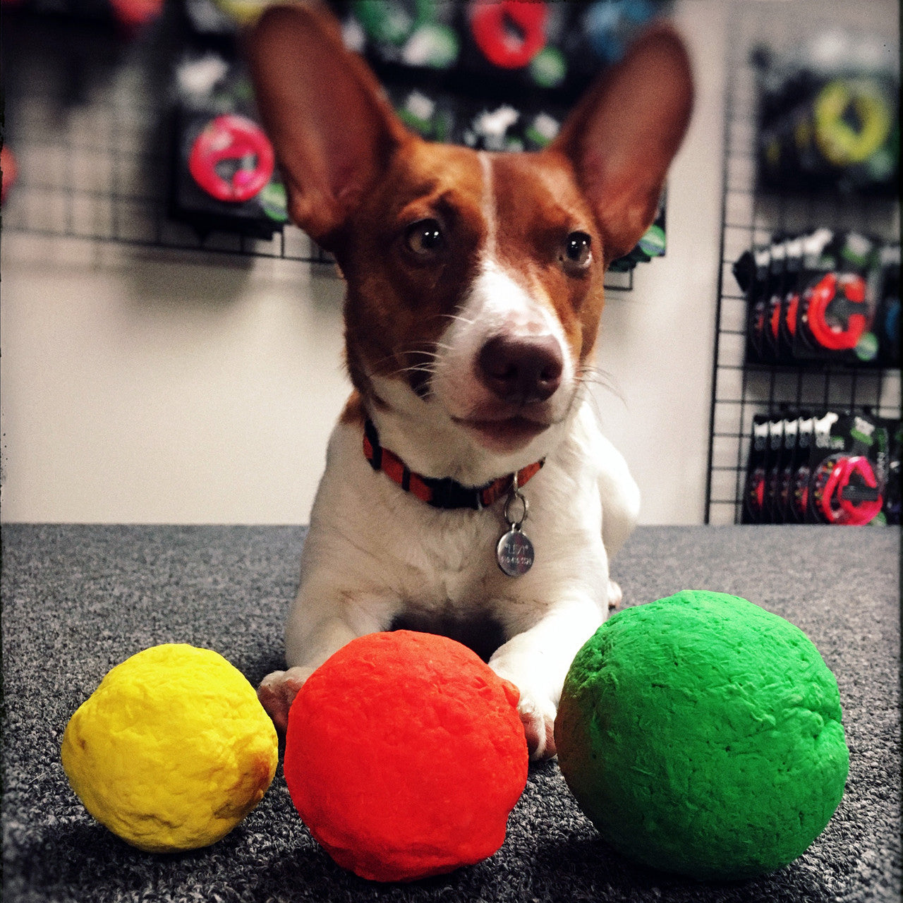 WUNDERball Natural Rubber Fetch Ball for Dogs