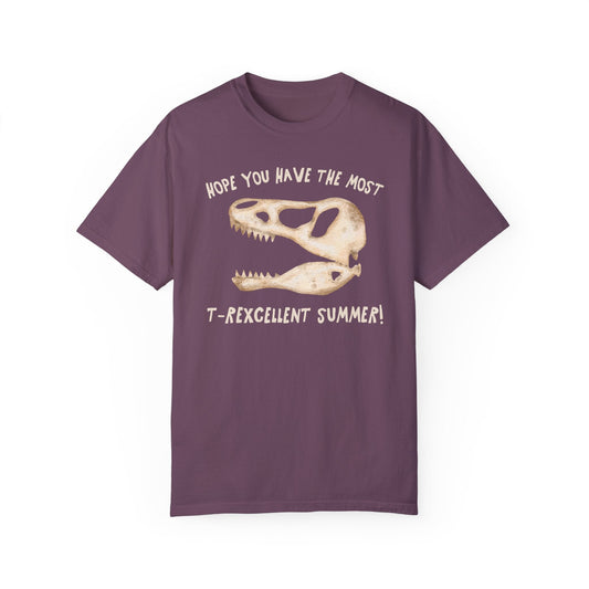 Have the Most T-Rexcellent Summer T-Shirt - Last Day of School Dinosaur Tee, Comfort Colors