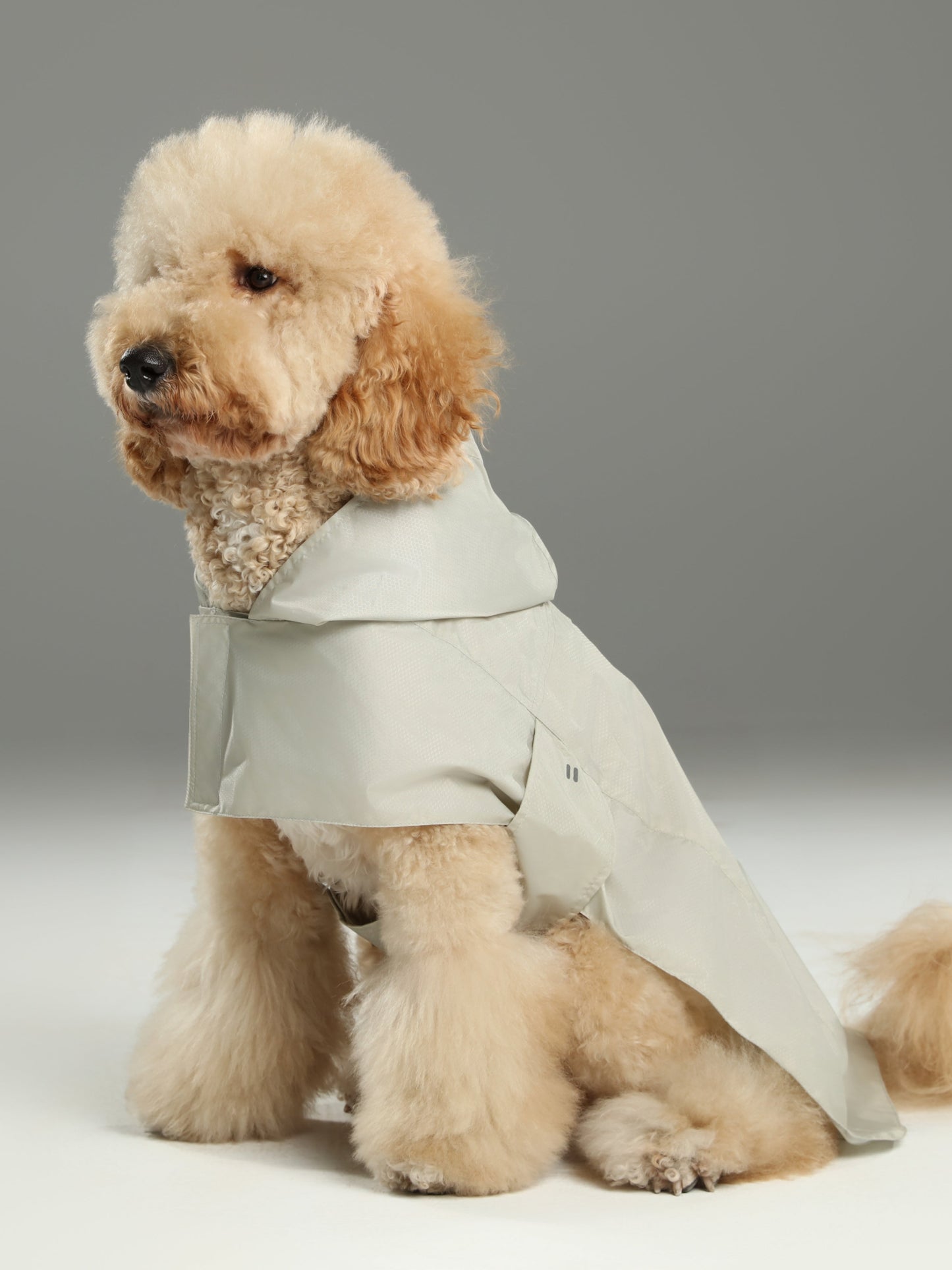 Capsule Raincoat for Dogs and Cats, Beige